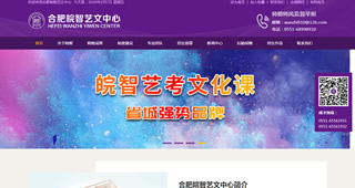 合肥皖智艺文中心学校